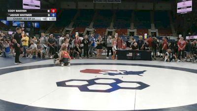 113 lbs Champ. Rd Of 64 - Cody Bakhsh, Delaware vs Ashur Whitmer, Iowa