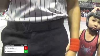 49 lbs Quarterfinal - Kaiden Galindez, Dundee vs Ares Fernandez, Duran Elite