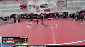 120 lbs Quarterfinal - Victor Franco, Dassel-Cokato-Litchfield vs Gavin Brandt, Redwood Valley