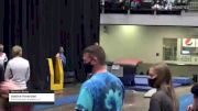 Adeline Hoversten - Women's Group, Elite Gymnastic Academy LLC - 2021 Women's Xcel Region 4 Championships