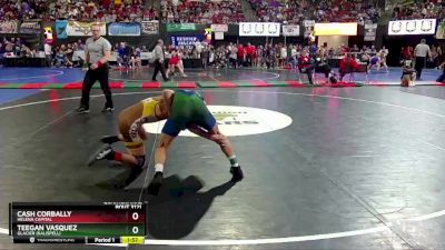 AA - 132 lbs Quarterfinal - Teegan Vasquez, Glacier (Kalispell) vs Cash Corbally, Helena Capital