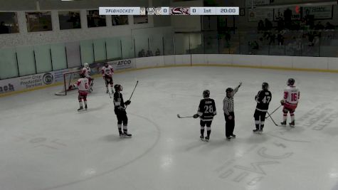 Replay: Home - 2024 Wheat Kings vs Vipers | Nov 22 @ 7 PM