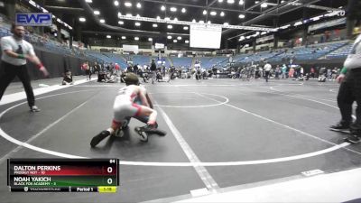 84 lbs Round 1 (6 Team) - Dalton Perkins, Prodigy NDT vs Noah Yakich, Black Fox Academy