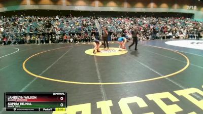 132 lbs Semifinal - Jameslyn Wilson, Rancho Bernardo vs Sophia Hejnal, Grace Davis