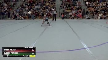 55 lbs Champ. Round 2 - Kaison Perkins, Pinnacle vs Cully Wilson, Forest Lake Wrestling Club