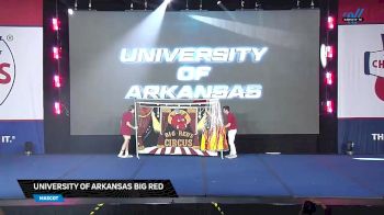University of Arkansas Big Red [2025 Mascot Finals] 2025 NCA & NDA College Nationals