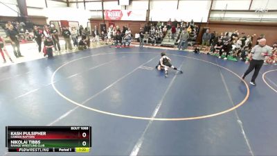 75 lbs Quarterfinal - Kash Pulsipher, Carbon Raptors vs Nikolai Tibbs, Ravage Wrestling Club