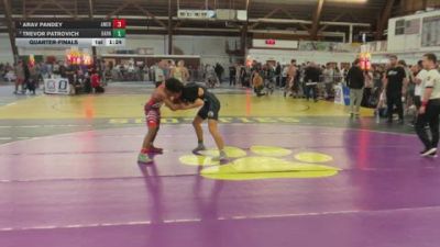 120 lbs Quarterfinal - Arav Pandey, American Dream Wrestling Club vs Trevor Patrovich, Barn Brothers