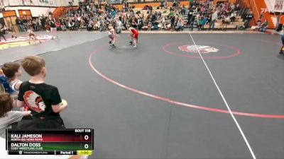 62 lbs Quarterfinal - Kali Jameson, North Big Horn Rams vs Dalton Doss, Cody Wrestling Club