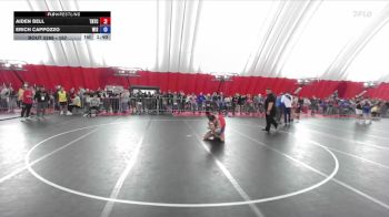 157 lbs Cons. Round 3 - Aiden Bell, Team Nazar Training Center vs Erich Cappozzo, Wisconsin