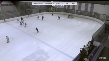 Replay: Home - 2023 Lady Knights U12 vs MYHA U10 | Nov 11 @ 9 AM