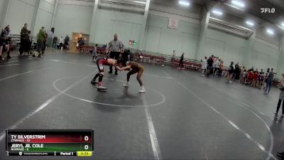 88 lbs Round 5 (6 Team) - Ty Silverstrim, CTWHALE vs Jeryl Jr. Cole, Rampage