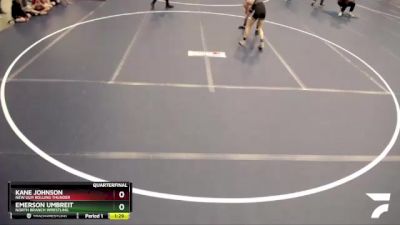 114 lbs Quarterfinal - Emerson Umbreit, North Branch Wrestling vs Kane Johnson, New Ulm Rolling Thunder