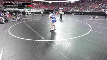 D2-113 lbs Champ. Round 1 - Easton Felchlin, Wrightstown vs Jacob Allickson, Campbellsport