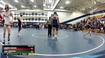 132 lbs Champ. Round 2 - Joey Romano, Lake Catholic vs Harris Medow, Solon
