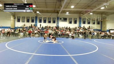 100 lbs Consolation - Amelia Hough, Milford vs Aidalish Cruz, Chicopee