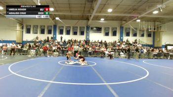 100 lbs Consolation - Amelia Hough, Milford vs Aidalish Cruz, Chicopee