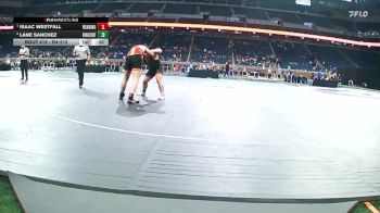 D4-215 lbs 3rd Place Match - Isaac Westfall, Reading vs Lane Sanchez, Benzie Central