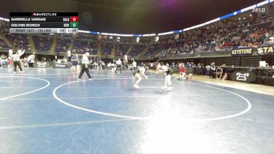 125 lbs Round Of 16 - Gabriella Vargas, Baldwin vs Oslynn Borich, Shikellamy