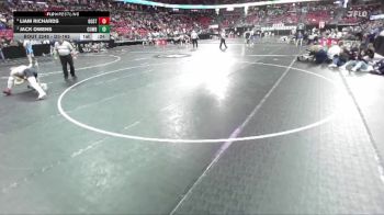 D3-165 lbs 3rd Place Match - Liam Richards, Oostburg vs Jack Owens, Cumberland