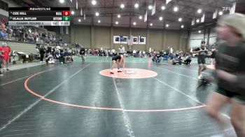 120 lbs Champ. Round 3 - Cee Hill, McAlester vs Ulalia Butler, Raytown