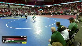 D1-157 lbs Champ. Round 1 - Ramon Gulmatico, Arrowhead vs Blake Bangtson, D.C. Everest