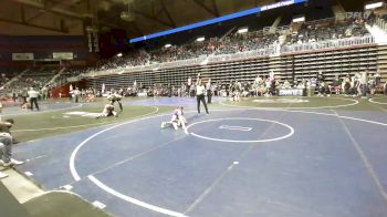 80 lbs Consi Of 4 - Jaycie Clark, Cowboy Kids WC vs Rylee Stewart, Glenrock WC