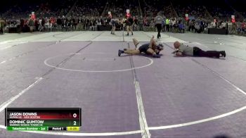 D2-120 lbs Cons. Semi - Jason Downs, Huron HS - New Boston vs Dominic Gumtow, Warren Woods-Tower HS