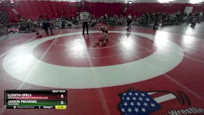 69-72 lbs Round 1 - Llewyn Opels, Arlington Cardinals Wrestling Club vs Jaxson Pekarske, Wisconsin