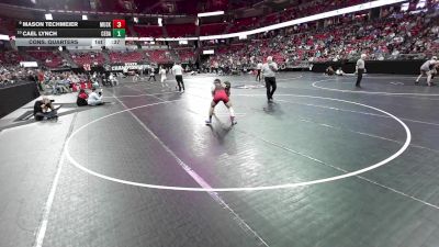 132 lbs Cons. Quarters - Cael Lynch, Cedarburg vs Mason Techmeier, Muskego