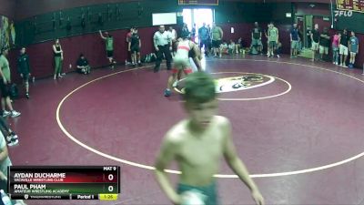 155 lbs Cons. Round 2 - Paul Pham, Amateur Wrestling Academy vs Aydan Ducharme, Vacaville Wrestling Club