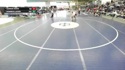 157 lbs 3rd Place Match - Gannon White, Norwich vs Dominick Lapier, Castleton