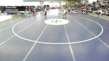 157 lbs 3rd Place Match - Gannon White, Norwich vs Dominick Lapier, Castleton