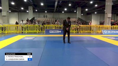 VITOR PERES PASCHOAL vs VICTOR JUNQUEIRA CARVALHO 2023 American National IBJJF Jiu-Jitsu Championship
