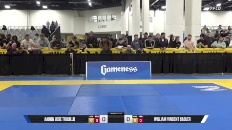 William Vincent Sadler vs Aaron Jose Trujillo 2025 World IBJJF Jiu-Jitsu No-Gi Championship