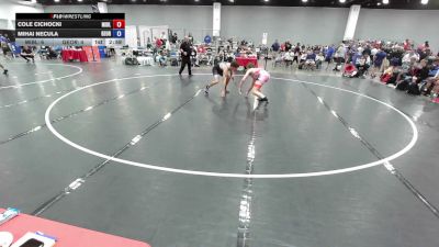144 lbs Cole Cichocki, Team Michigan Blue vs Mihai Necula, Georgia