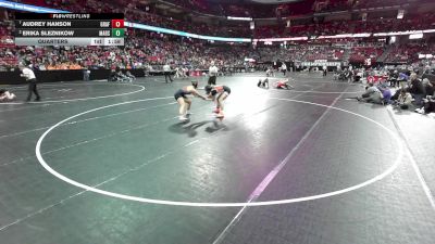 138 lbs Quarters - Audrey Hanson, Grafton vs Erika Sleznikow, Marshfield
