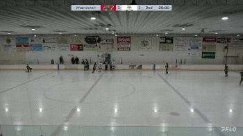 Replay: Home - 2024 Wild U18 AAA vs Interlake U18 AAA | Mar 3 @ 4 PM