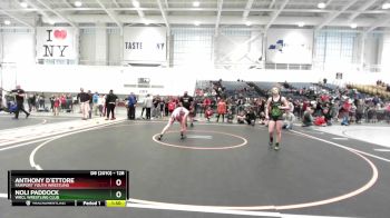 128 lbs Champ. Round 1 - Anthony D`Ettore, Fairport Youth Wrestling vs Noli Paddock, WRCL Wrestling Club