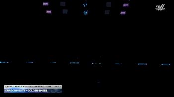 Dragons Elite - Golden Spikes [2026 L1 Mini - Novice - Restrictions DAY 1] 2026 JAMfest Cheer Super Nationals