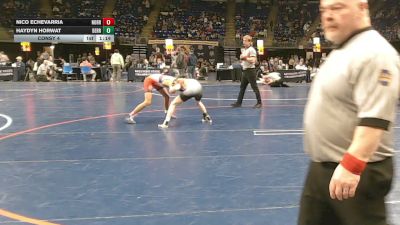 89 lbs Consy 4 - Nico Echevarria, Norristown vs Haydyn Horwat, Derry