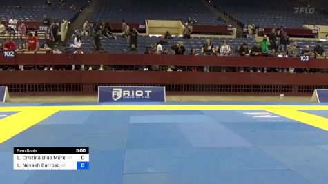 Lara Cristina Dias Moreira vs Lily Nevaeh Barroso 2024 Pan IBJJF Jiu-Jitsu No-Gi Championship
