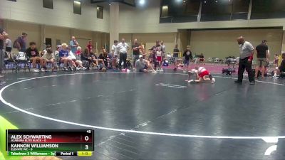 45 lbs Round 6 (8 Team) - Alex Schwarting, Alabama Elite Black vs Kannon Williamson, Elevate WC