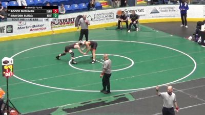 140 lbs Consi Of 8 #1 - Rocco Bushman, Cumberland Valley vs Brayden Slugg, Northern York