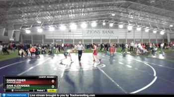 125 lbs Champ. Round 1 - Dani Alexander, Mountain Crest vs Danae Fisher, Mountain Ridge