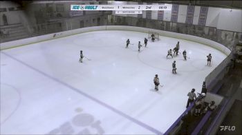 Replay: Home - 2024 Resistance U8 vs Wolverines U8 | Feb 17 @ 5 PM