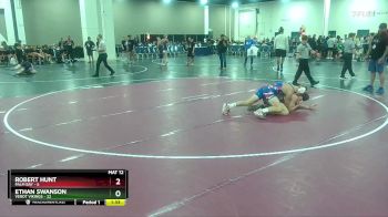 138 lbs Finals (8 Team) - Ethan Swanson, Verot Vikings vs Robert Hunt, Palm Bay