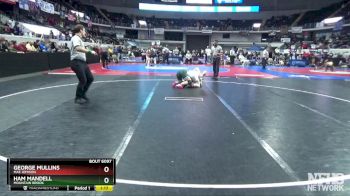 6A 175 lbs Quarterfinal - Ham Mandell, Mountain Brook vs George Mullins, Mae Jemison