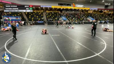 165 lbs Quarterfinal - Radic Dvorak, Huntley vs Kayden Crispin, Waukee