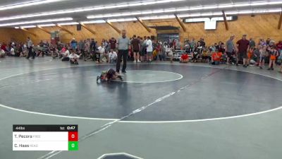 44 lbs Quarterfinal - Thomas Pecora, Freeland vs Christopher Haas, Reading